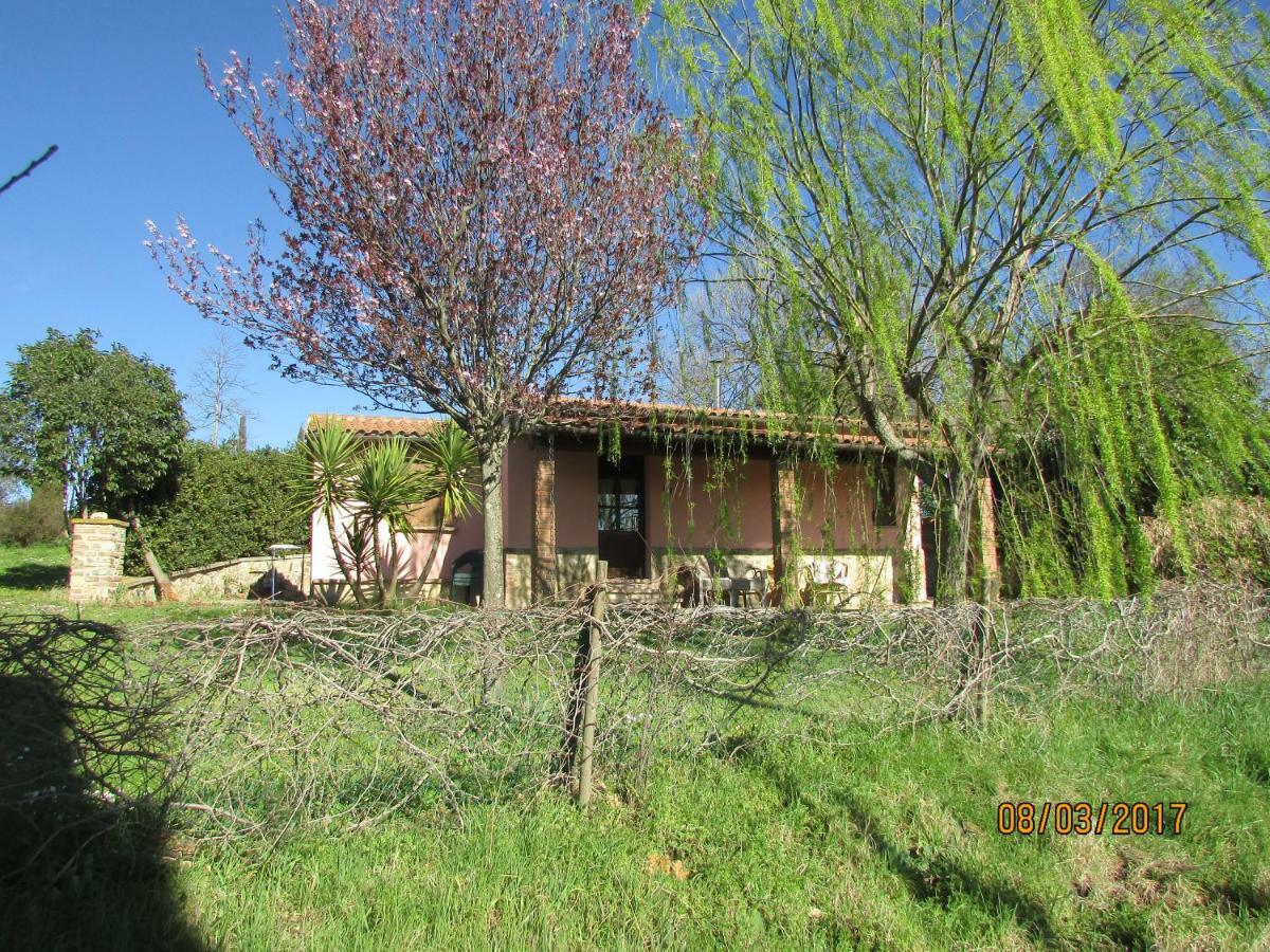 Maison d'hôtes Agriturismo Il Feudo à Grosseto Extérieur photo