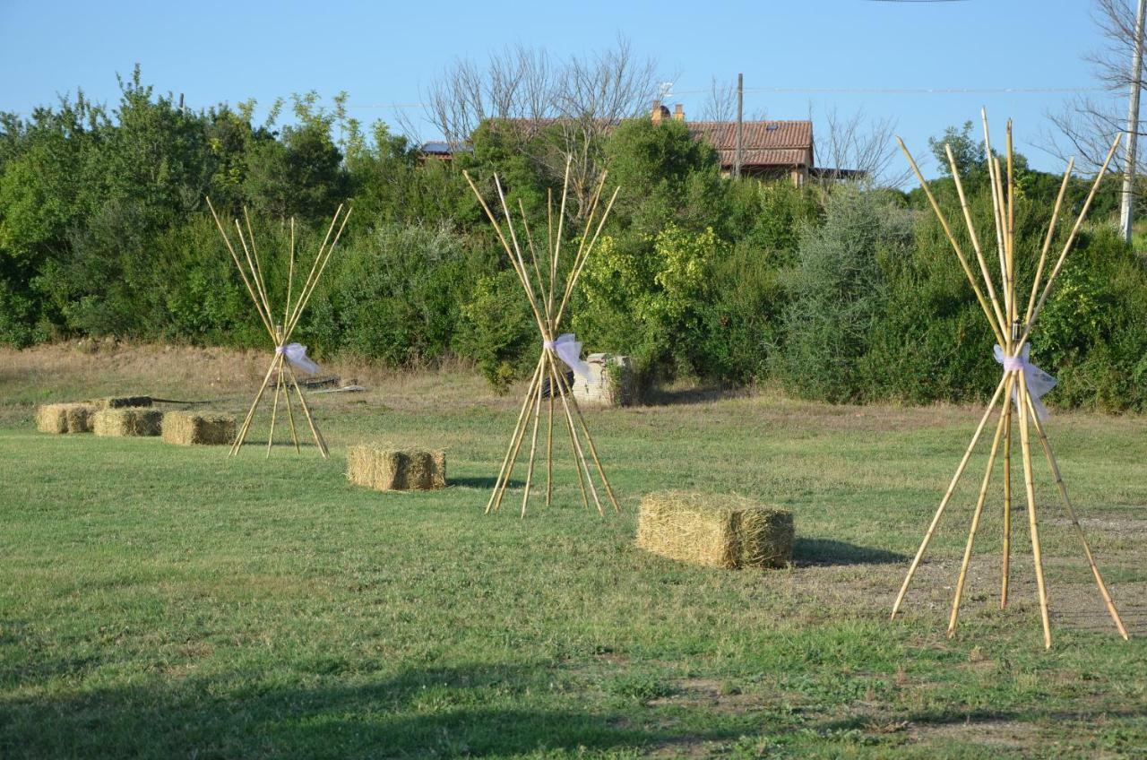 Maison d'hôtes Agriturismo Il Feudo à Grosseto Extérieur photo