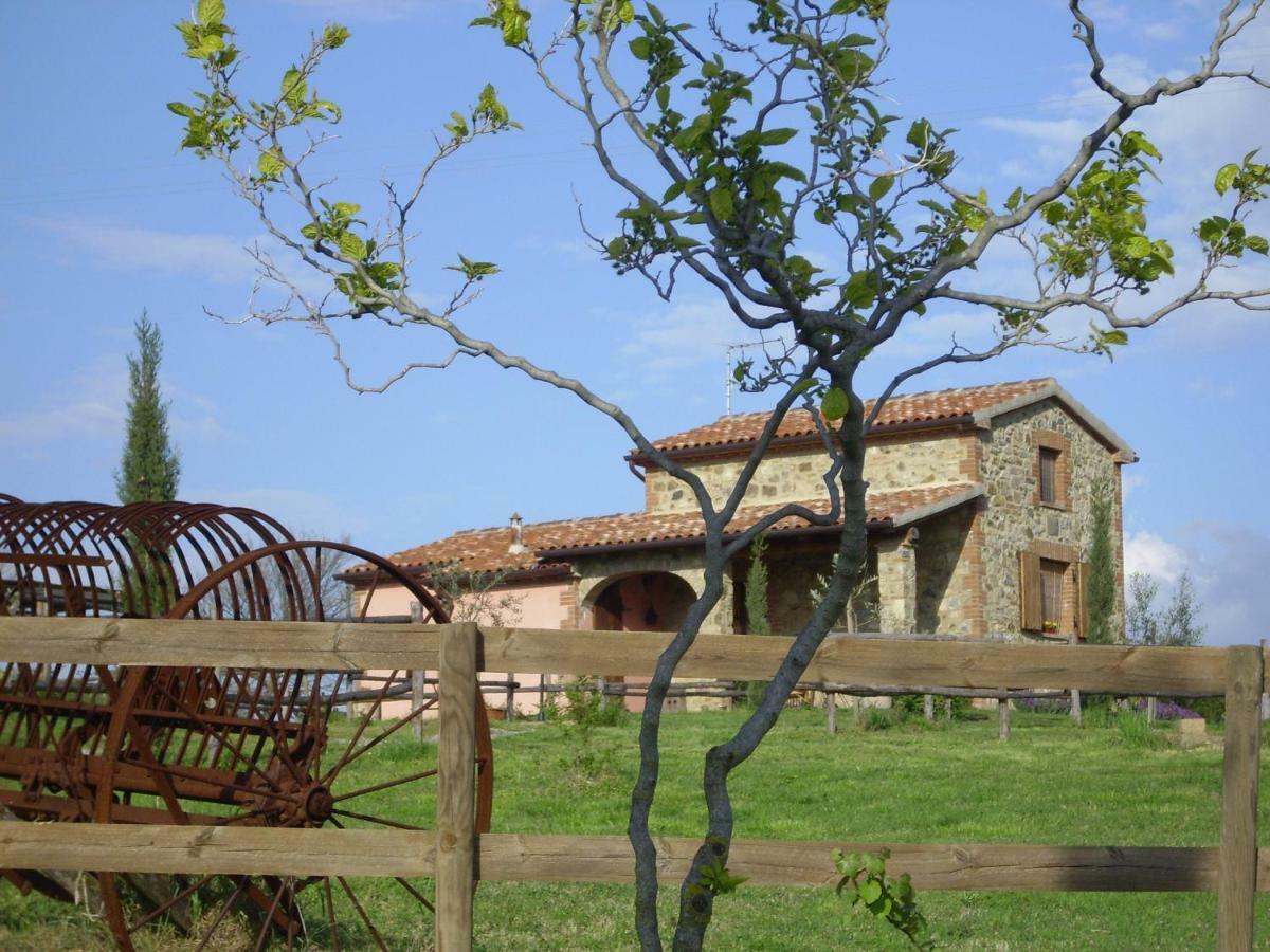 Maison d'hôtes Agriturismo Il Feudo à Grosseto Extérieur photo